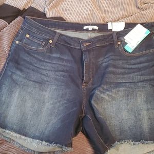 Sts blue women's shorts size 18